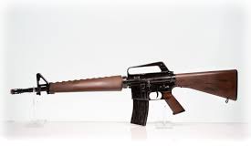 Service Rifle Kit