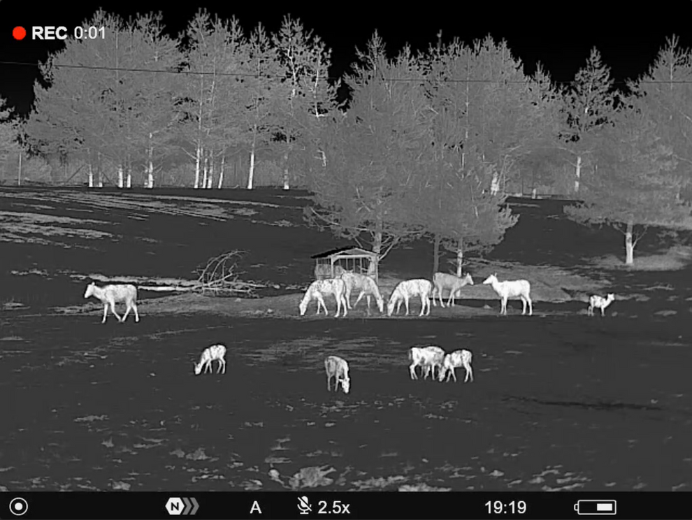 Telos LRF XP50 Thermal Monocular - Image 5