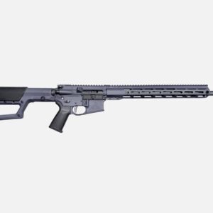 AR-15 Rifle (22 ARC)
