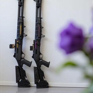 RAIDER INTERSTELLAR ELITE