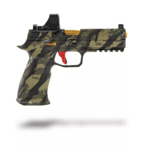 Agency Arms Ronin P320